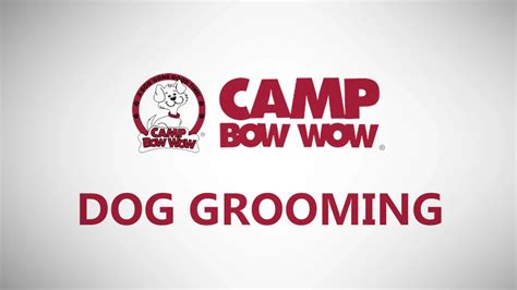 camp bow wow grooming